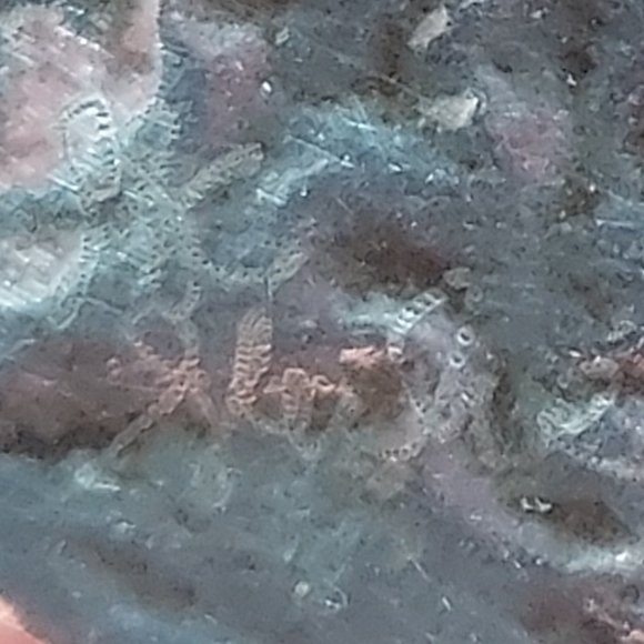 Modernist/Japanese Half Moon Handmade sterling Brooch with Garnet - Picture 9 of 12